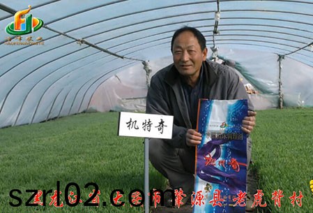 大慶-肇源縣-用戶迴訪視頻