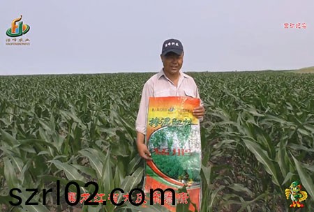 大慶(qing)泰康腰新