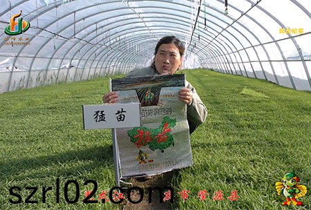 大慶 肇源(yuan)縣(xian)-迴訪(fang)視頻