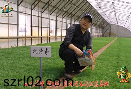 哈爾濱金水河基地-用戶迴訪視頻