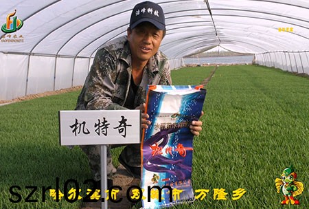 哈(ha)爾濱(bin)雙城萬隆-用戶(hu)迴訪視頻