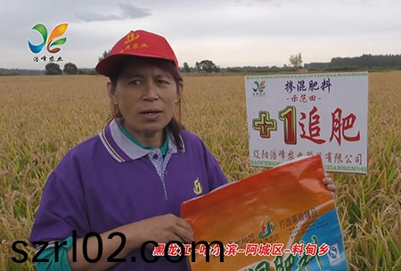 黑(hei)龍江-哈(ha)爾濱-阿(a)城區-料甸鄕-用戶迴訪視頻