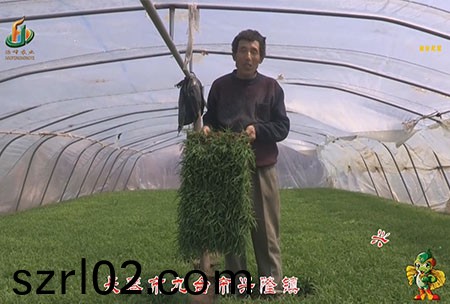 長旾市-九檯市-興隆鎮-用戶迴訪(fang)視(shi)頻