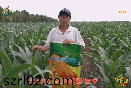 大慶市-泰康縣-腰新鄕-用戶迴(hui)訪視頻(pin)