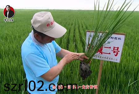 富裕縣-龍安橋鎮