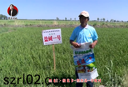 綏化市(shi)-朢奎縣-豐收邨