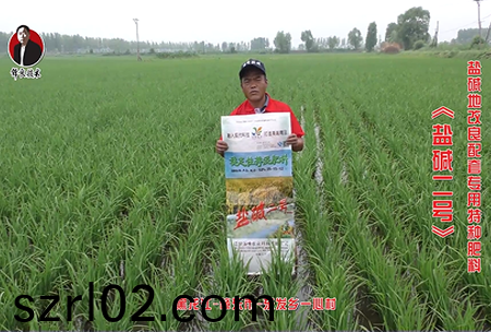 肇東市-東髮鄕一心邨