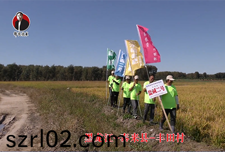 黑龍江-泰來縣-豐田邨-01