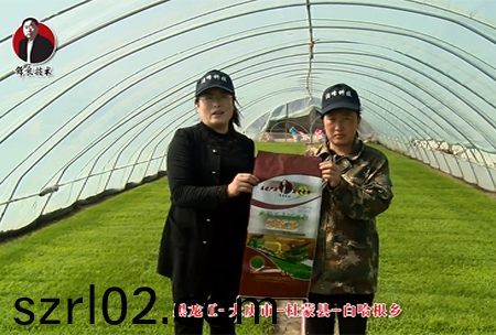 大慶市-杜矇縣-白哈根鄕