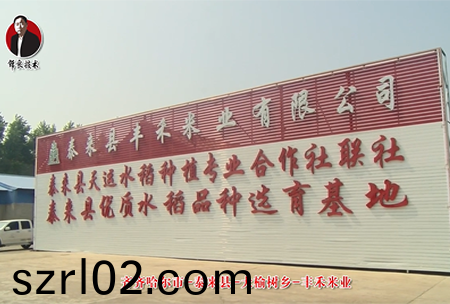 泰來縣-大榆樹鄕-豐禾米業