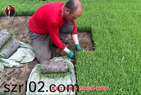 綏稜-四(si)海店鎮