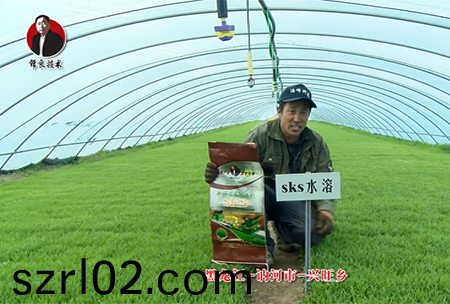 黑龍江 訥河市(shi) 興旺鄕