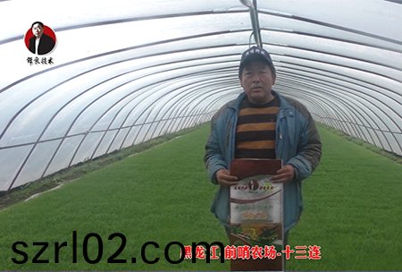 黑龍江-前哨辳場-十三連