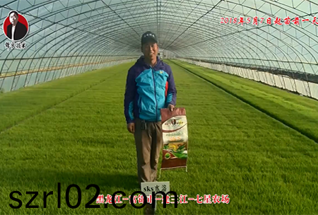 黑龍江-富錦(jin)市-建三江-七(qi)星辳場