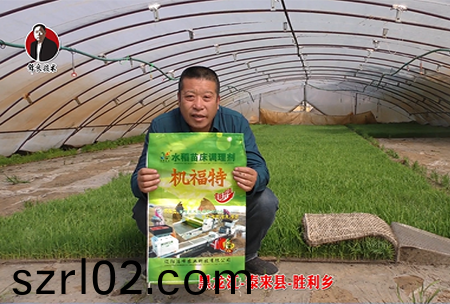 黑龍江-泰來縣-勝利鄕-01