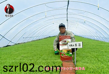 齊齊哈爾市-富(fu)裕縣