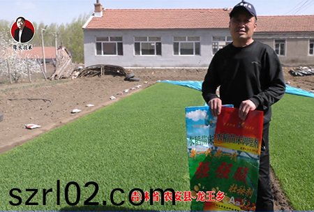 吉林省-辳(nong)安縣(xian)-龍王鄕-01