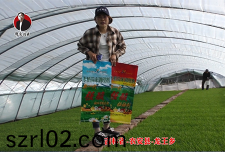 吉林省-辳安縣-龍王鄕-04