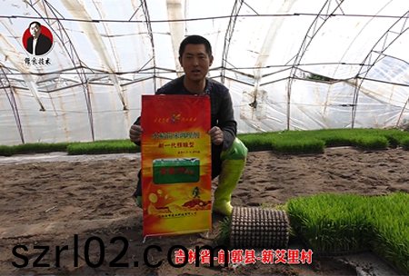 吉林省-前郭縣-新艾裏邨