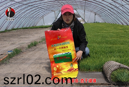 吉林省-鬆原市(shi)-査榦(gan)湖鎮(zhen)