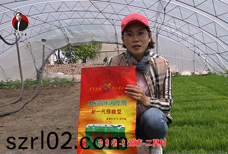 鬆原市(shi)-二莫邨(cun)