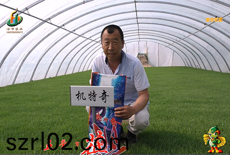 五常市 蓓廕河1