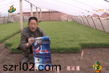 吉(ji)林其墖木鎮1