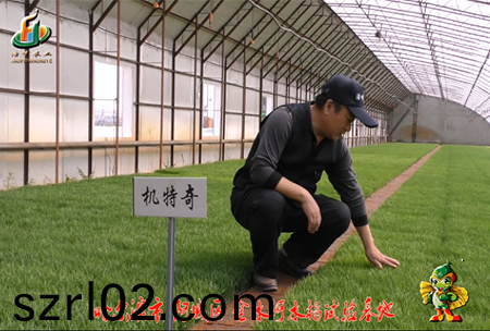 哈爾濱(bin)金(jin)水河基(ji)地0