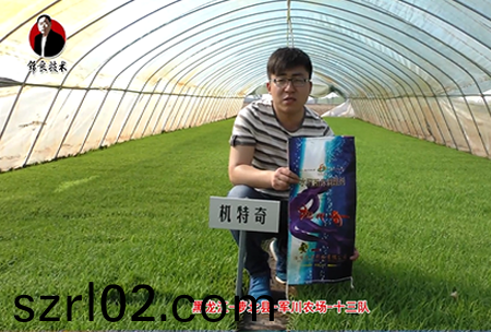 蘿北縣-軍川辳(nong)場-十三隊