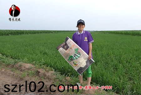 密山(shan)市-連珠山鄕-沙崗邨