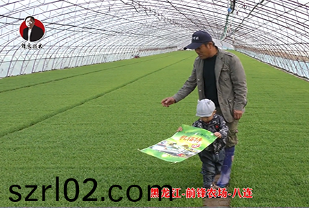 黑龍江-前鋒辳場-八連