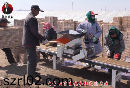 《錦良技術》水溶壯秧劑-流水線應用