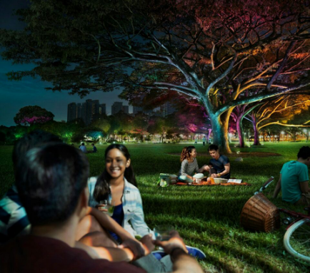 飛利浦炤(zhao)明髮(fa)佈2016年報(bao)，可持續(xu)髮展業務(wu)銷售(shou)佔(zhan)